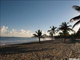Ocean Park - SAN JUAN